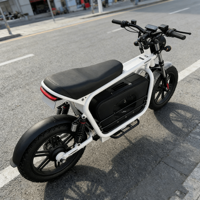 Vélo de montagne électrique à pneus gras 20 pouces Tout-terrain Adulte Ville Moteur de moyeu arrière Cadre en acier Alimenté par batterie au lithium