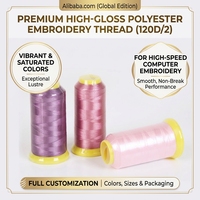 Fil à broder 100 % polyester en gros, 120D/2, poids 100g, fil haute résistance pour broderie industrielle informatisée