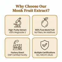 Fabrikant levert 100% puur gespraydroogd monniksvruchtenpoeder, voedingskwaliteit, voor bakkerij, zoetwaren, natuurlijke zoetstof, culinaire suiker.