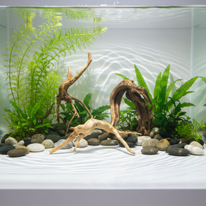 Branches de bois flotté naturel pour la décoration d'aquariums, avec des caractéristiques de racinement pour plantes aquatiques - Product Image 2