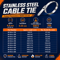 Attaches-câbles en acier inoxydable auto-bloquantes de qualité 304, 4,6x150 / 4,6x200 mm de largeur, vente en gros directe d'usine, 100 pièces/paquet