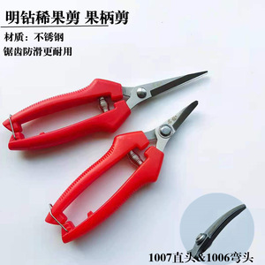 Sécateurs de précision Diamond, lame en acier inoxydable de 30 mm, structure papillon en forme de coude, pour la taille des fruits et légumes - Product Image 5