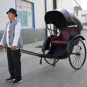 Carroza de Caballo Ligera de Dos Ruedas de Alta Calidad 2024, Carroza de Caballo Pony en Venta, Rickshaw - Product Image 4