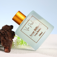 Diffuseur de parfum d'ambiance longue durée 100 ml aux huiles essentielles naturelles pour les fêtes, désodorisant d'intérieur, vente en gros