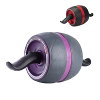 Roues d'exercice doubles personnalisées Julyfit pour la remise en forme, la gym, les débutants, entraînement abdominal à domicile