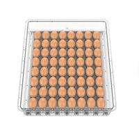 Incubateur automatique pour œufs de poulet, de canard, d'autruche et de dinde, neuf et pas cher, capacité de 36 à 192 œufs, taux d'éclosion de 98%