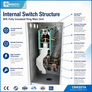 Unidad de Anillo Aislada por Gas SF6 Inteligente de 11kV 24kV con Monitoreo de Descargas Parciales en Tiempo Real - Product Image 2