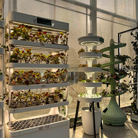 Systèmes de culture hydroponique verticaux - Planteur automatique pour la culture sans sol de légumes en serre commerciale