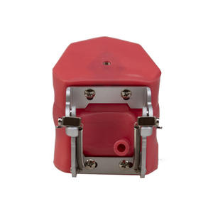 Modèle de cavité buccale dentaire simple, tête complète, dents détachables pour la préparation dentaire, accessoire de thérapie buccale - Product Image 2