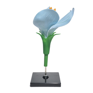 Modelo Desmontable de Disecación de Flor de Guisante |   Material Didáctico sobre la Estructura de las Flores - Product Image 2