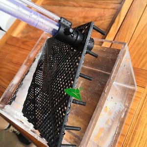 Boîte filtrante UGF carrée transparente en acrylique pour aquarium de crevettes, boîte de reproduction d'algues aquatiques, boîte de paysage aquatique, décoration intérieure - Product Image 4