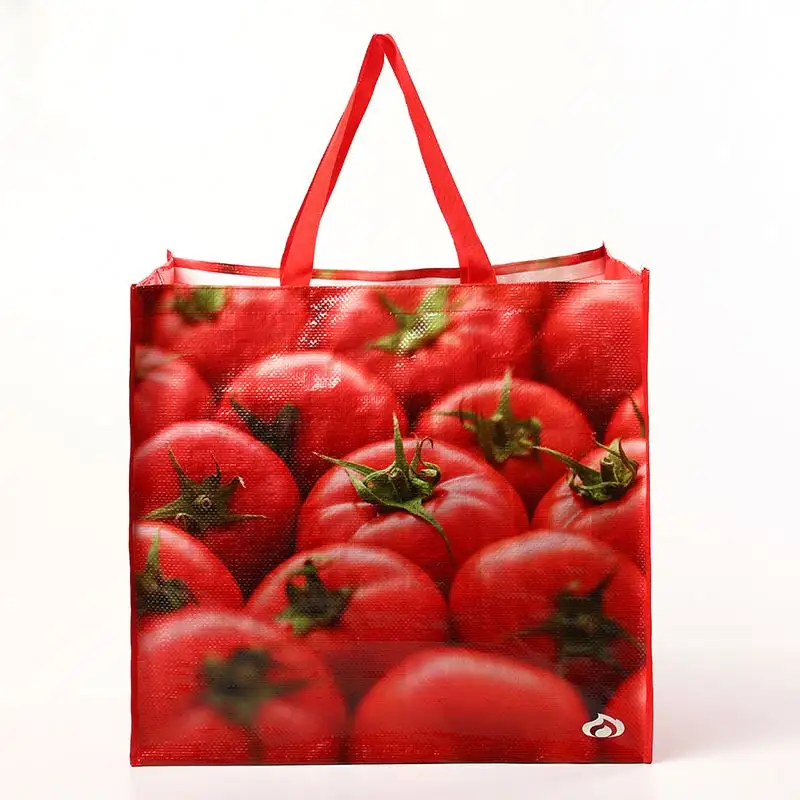 Various Specifications Pp Woven Bag Pp Non Woven Shopping Bag Woven Shopping Bag