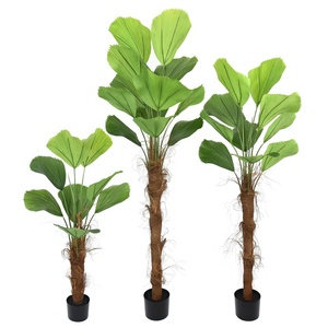 <span class=keywords><strong>Palmier</strong></span> <span class=keywords><strong>Licuala</strong></span> Artificiel avec Pot, Plante de <span class=keywords><strong>Palmier</strong></span> en Fausse Feuille de <span class=keywords><strong>Palmier</strong></span>, Plante Tropicale en Pot pour la Décoration Intérieure de la Maison et du Bureau - Product Image 1