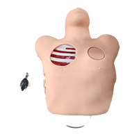 Modèle de formation médicale pour la ponction thoracique et le drainage, simulateur de drainage pleural