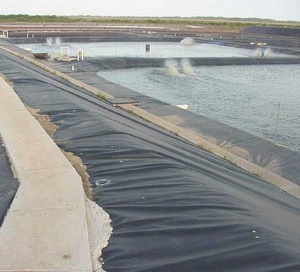 Revêtement <span class=keywords><strong>d</strong></span>'étang de ferme de poissons de haute qualité, membrane géomembrane hdpe, matériaux plastiques étanches <span class=keywords><strong>pour</strong></span> étang <span class=keywords><strong>d</strong></span>'aquarium et queues de poissons - Product Image 6