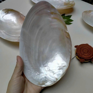 จานเปลือกหอยมุกเวียดนาม จานงานเลี้ยงสุดหรู ผลิตภัณฑ์สั่งทำพิเศษ ขนาด 8 นิ้ว แบบธรรมชาติ - Product Image 3
