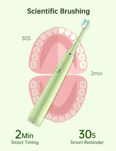 Baolijie มาใหม่ขายส่ง IPX7 ปรับแต่งฉลากส่วนตัวเดินทางผู้ใหญ่แปรงสีฟันโซนิคแปรงสีฟันไฟฟ้าแบบพกพา