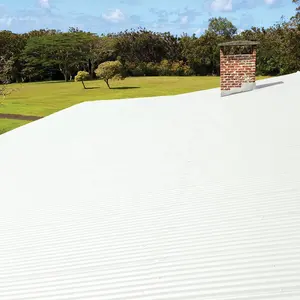 Revestimiento impermeable de goma de silicona para superficie de techo plana de hormigón