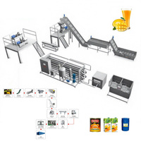Op maat gemaakte 1~20 T/H turnkey project volautomatische complete lijn voor mangosap productie