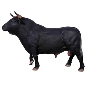 ประเทศจีนผู้ผลิตสเปนต่อสู้วัวชีวิตขนาดรูปปั้น