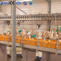 Ligne de traitement de volailles en acier inoxydable 304, certifiée CE ISO, capacité 1000 poulets/heure, s'adapte à un conteneur 40HQ, sans installation