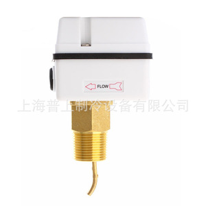 Interruptor de Flujo de 1 Pulgada FSF50P, Tipo Paleta Roscada de 3 Hilos, IP65, para Medidor de Flujo en Tuberías DN25 - Product Image 5