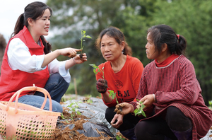 เม็ดปุ๋ยอินทรีย์สำหรับการเกษตรผลิตจากโรงงานปล่อยอย่างรวดเร็ว - Product Image 4