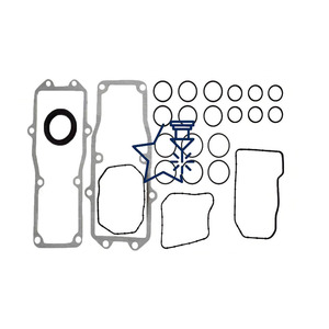 Kit di Revisione per Pompe di Iniezione Diesel, Kit di Riparazione TICS - Product Image 2