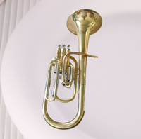 Hot-Selling Alto Horn Brass Instrument for Adults Beginners and Professional Players