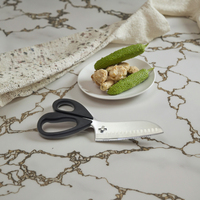 Couteau de cuisine multifonction de luxe robuste 2 en 1, amovible, en acier inoxydable, écologique, compatible lave-vaisselle, avec ciseaux