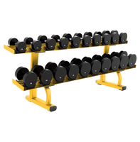 Support d'haltères à 2 niveaux pour salle de sport commerciale Supports de bancs réglables Support à double couche Style moderne Équipement de fitness durable et solide