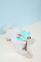 Chapeaux pour animaux de compagnie, pare-soleil, chapeaux anti-étranglement pour chiens, chapeaux de pêcheur ajustables à oreilles apparentes, chapeaux pour chats, fournitures pour animaux de compagnie