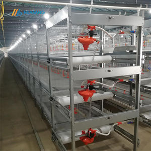 Attrezzatura per allevamento di pollame tipo H sistema automatico gabbia di pollo - Product Image 1