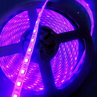 Bande LED UVA 365 nm avec SMD2835, 120 LED/m, pour détection et décoration de scène, et colle UVA 365 à durcissement rapide