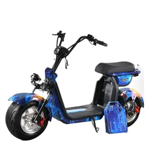 Factory Direct Te Koop 1500W Elektrische Scooter Voor Volwassenen Citycoco In Holland Magazijn Voorraad