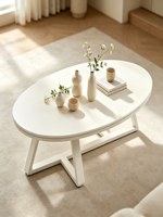 Mesa de Centro de Cuarzo Estilo Italiano, Moderna y Minimalista, de Alta Gama, Recién Llegada, Forma Ovalada, Mueble para Sala de Estar