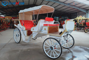 Carruajes de Caballos Blancos de Lujo para Bodas y Turismo, Carruajes de Caballos de Alta Calidad para Lugares Turísticos en Venta - Product Image 4