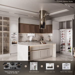 Dalla cucina al lusso: soluzioni personalizzate per elettrodomestici a livello di cucina. - Product Image 5