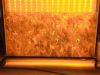 Panneau mural translucide rétroéclairé Life1996, en ardoise naturelle flexible, mince (2 mm), durable, écologique et décoratif.