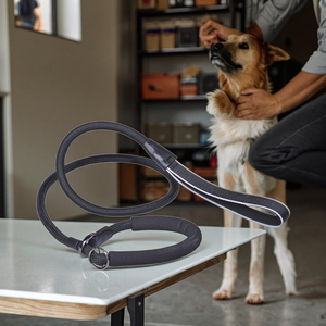 Correa para Perro Gruesa y Suave con <span class=keywords><strong>Collar</strong></span> para Perros Pequeños/Medianos/Grandes, Correa de Entrenamiento Antitirones 100% Nailon - Product Image 1