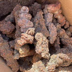 Bán buôn tự nhiên monazite tinh thể kim cương mẫu vật hiếm khủng long phân hóa Thạch Thô khoáng sản của trái đất linh vật đá - Product Image 6