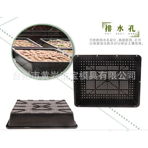 <b>Plastic</b> Seedling <b>Trays</b> Rectangle Multi Cavity Mold Drainage Hole For Nursery Use - Product Image 4