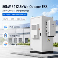 Système de Stockage d'Énergie C&I Tout-en-un Hybride Solaire avec Onduleur et Batterie 50kW 112.5kWh pour Micro-réseau et Réduction des Coûts Diesel