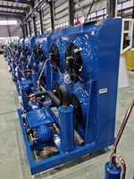 Réfrigération industrielle Danfoss MTZ160 13.5HP Allemagne compresseur refroidi par air unité de condensation équipement de réfrigération pour le refroidissement