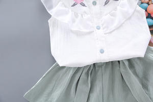 Ensemble 2 pièces d'été en gros pour tout-petits : T-shirt et short décontractés pour bébés filles, vêtements pour enfants, tenue pour petites filles - Product Image 4