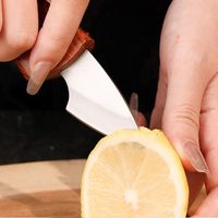 Mini couteau de poche pliable EDC pour le camping en plein air, la randonnée, lame en acier inoxydable avec manche en bois, outil de coupe portable