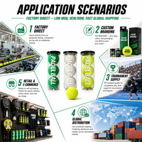 Balle de padel sportive FIP Standard Stable Bounce, rétention de pression, qualité premium pour match, noyau en laine + caoutchouc, logo personnalisé