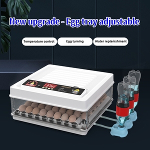 미니 아프리카 계란 부화기 오리알 부화기 36-68 계란 부화 머신 - Product Image 4