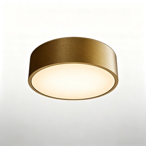 Plafonnier semi-encastré en laiton avec diffuseur acrylique, économe en énergie, style nordique, CRI 90 élevé, garantie 3 ans pour couloir et chambre - Product Image 1