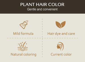 Venta al por mayor tinte para el cabello peine aceite de argán belleza color de cabello champú utilizado para tinte natural para el cabello con peine fácil de usar - Product Image 3
